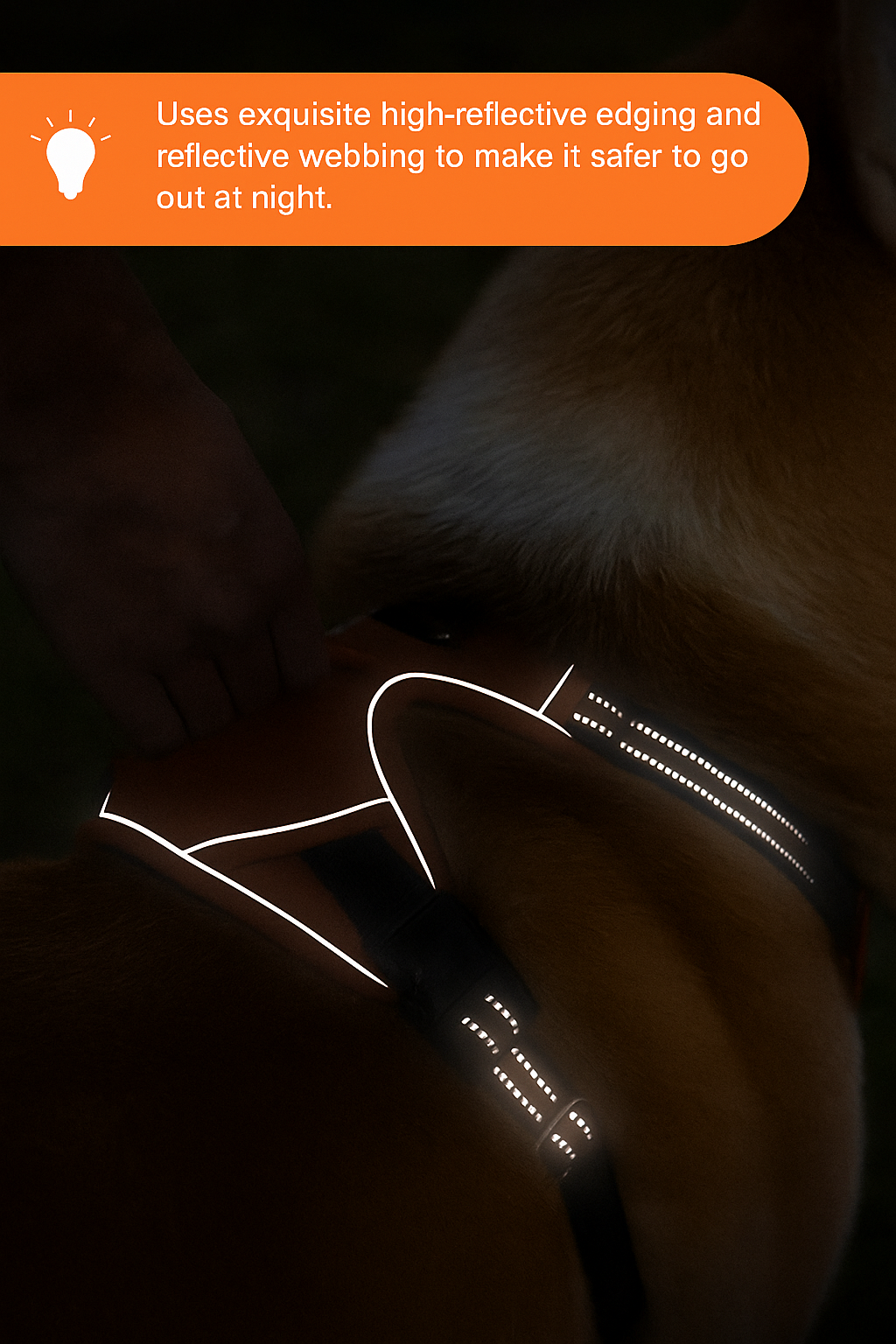 Durable Waterproof Pet Harness with Handle