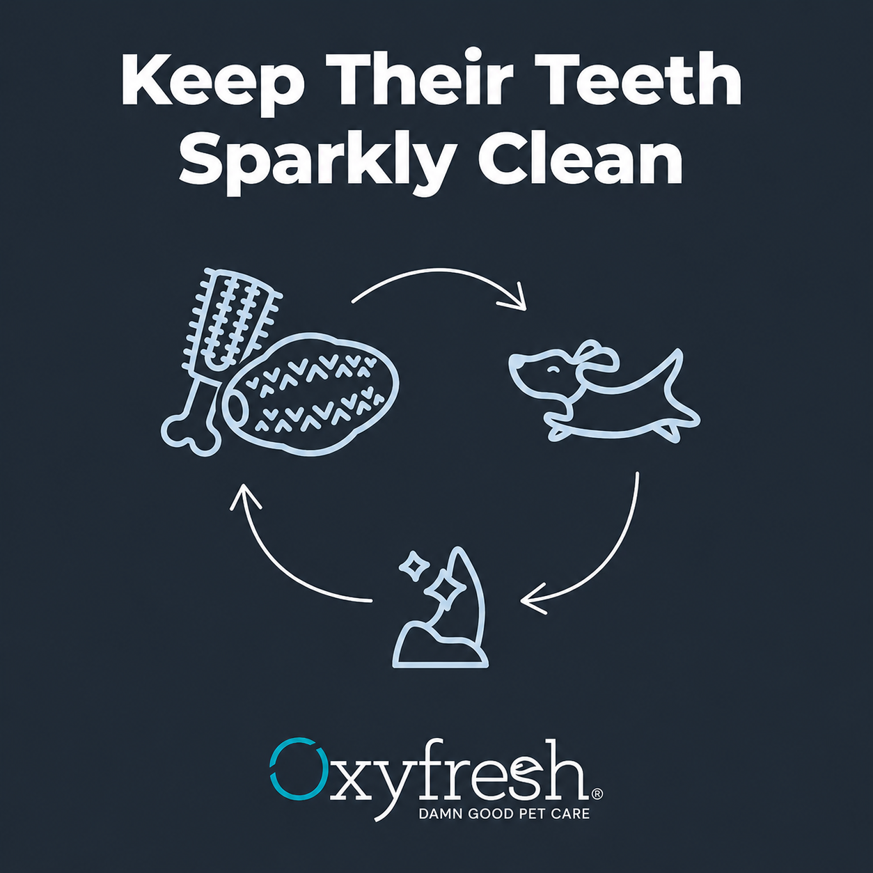 Oxyfresh Durable Dental Chew Toy