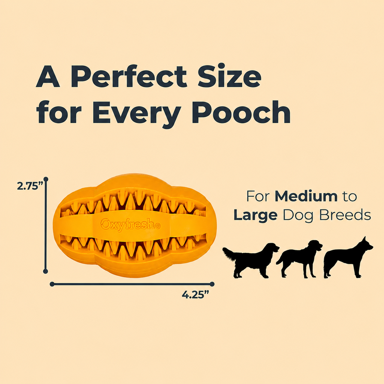 Oxyfresh Durable Dental Chew Toy