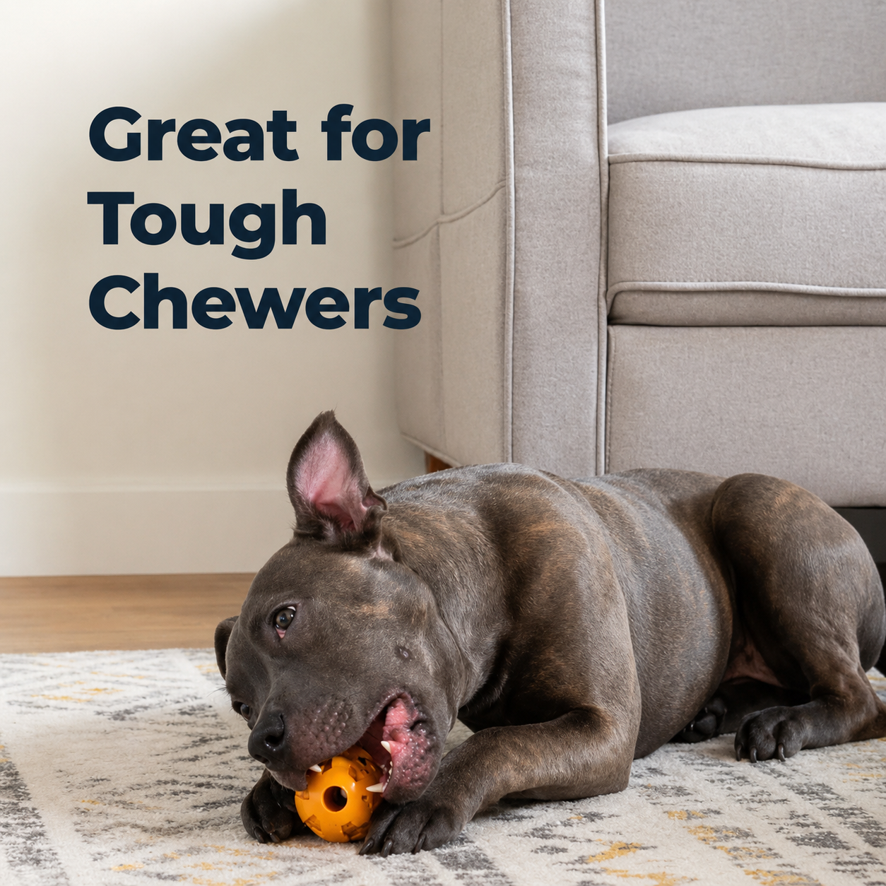 Oxyfresh Durable Dental Chew Toy