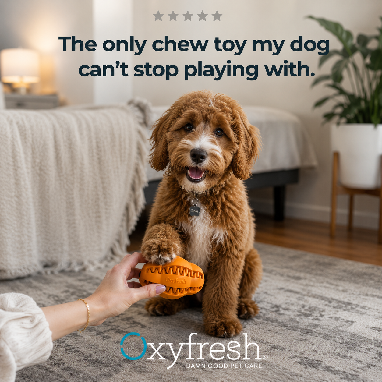 Oxyfresh Durable Dental Chew Toy