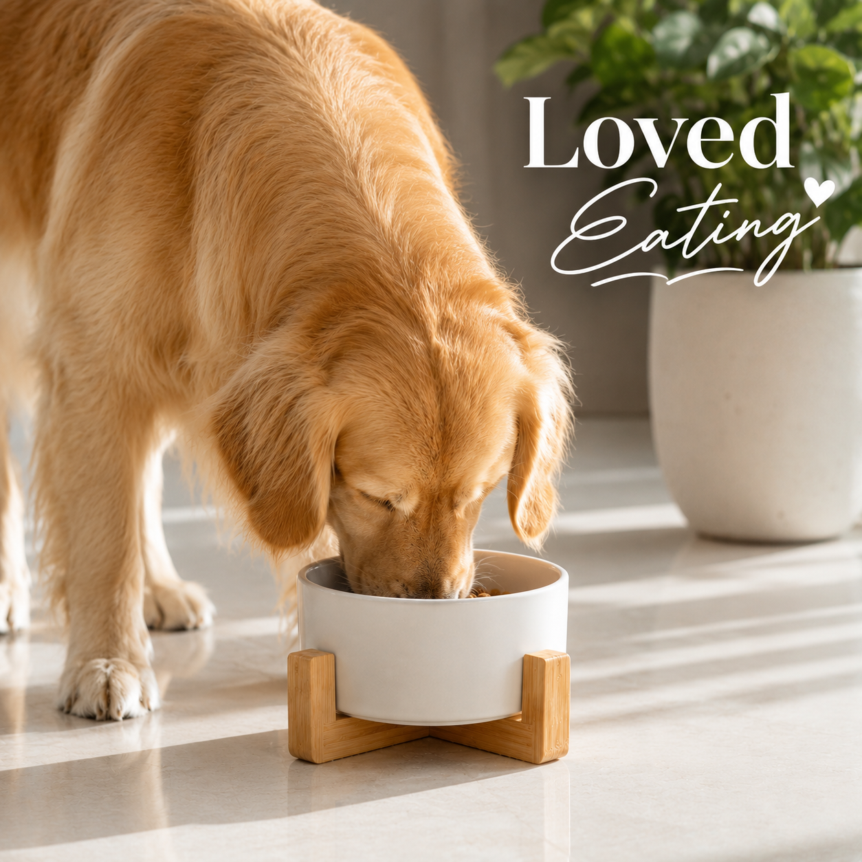 Handcrafted Ceramic Dog Bowl with Wood Stand