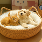 Eco-Friendly Handmade Woven Pet Bed