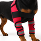 Dog Knee Brace & Leg Protector for Fast Injury Recovery