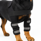 Dog Knee Brace & Leg Protector for Fast Injury Recovery