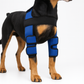 Dog Knee Brace & Leg Protector for Fast Injury Recovery