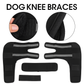 Dog Knee Brace & Leg Protector for Fast Injury Recovery