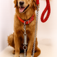 Hand-Woven Anti- Pull Leash for Comfortable Walks