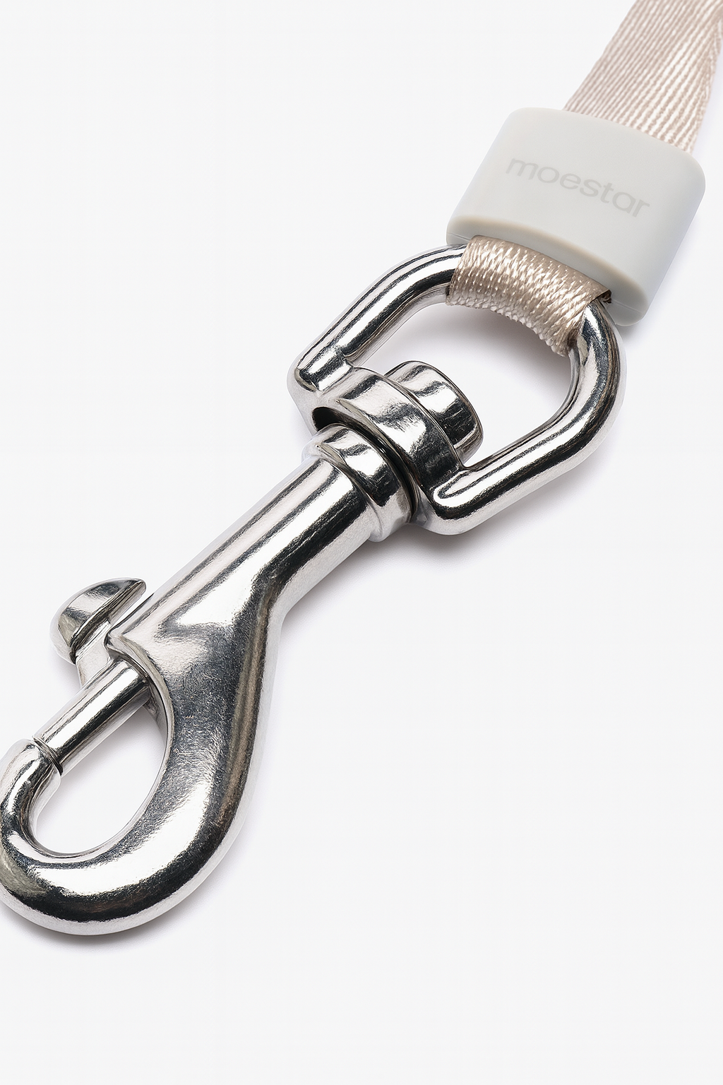 Aesthetic Automatic Retractable Dog Leash