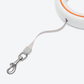 Aesthetic Automatic Retractable Dog Leash