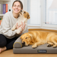 Orthopedic Nest Sofa/Bed