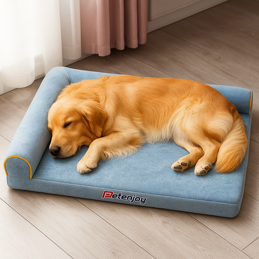 Orthopedic Nest Sofa/Bed