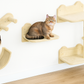 Cat Wall Shelves with Hammock, Scratching & Jumping Platforms