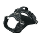Durable Waterproof Pet Harness with Handle