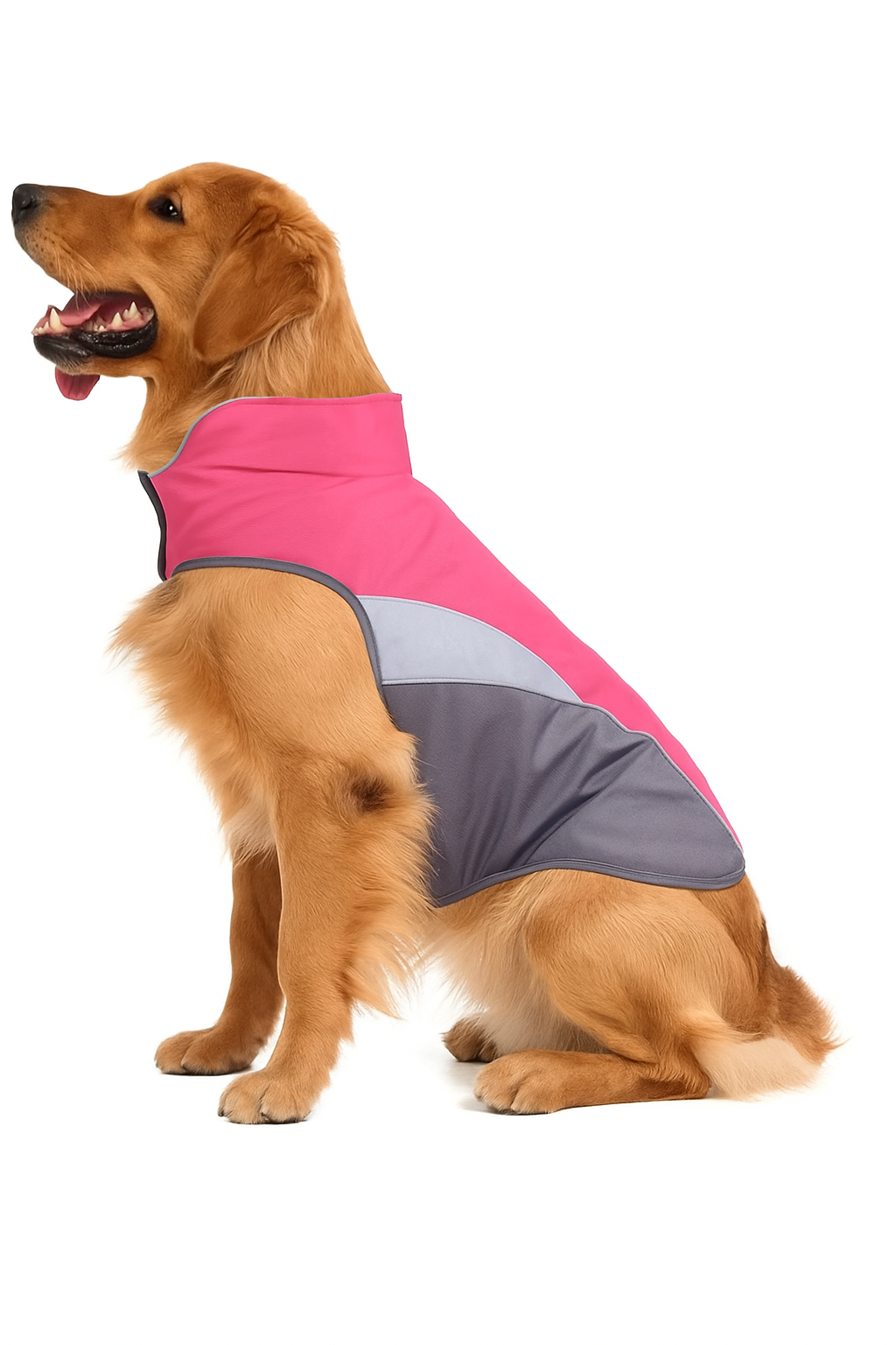 Waterproof Dog Raincoat and Insulated Jacket