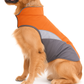 Waterproof Dog Raincoat and Insulated Jacket
