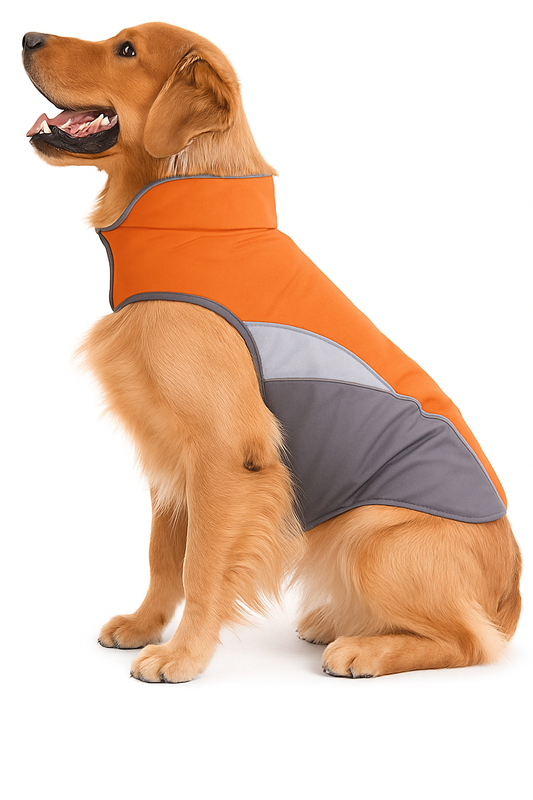 Waterproof Dog Raincoat and Insulated Jacket