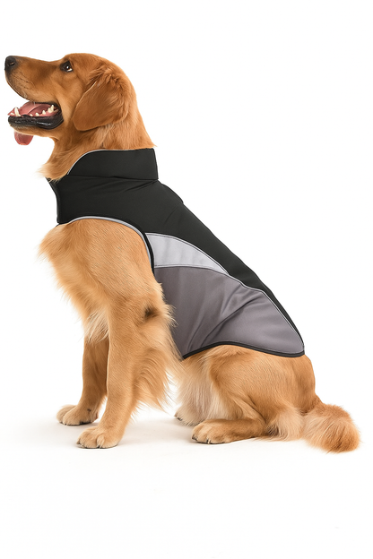 Waterproof Dog Raincoat and Insulated Jacket