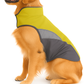Waterproof Dog Raincoat and Insulated Jacket