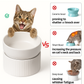 Elevated Raised Ceramic Cat Bowl