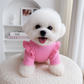 Knitwear Dog Clothes with Small Flying Sleeves