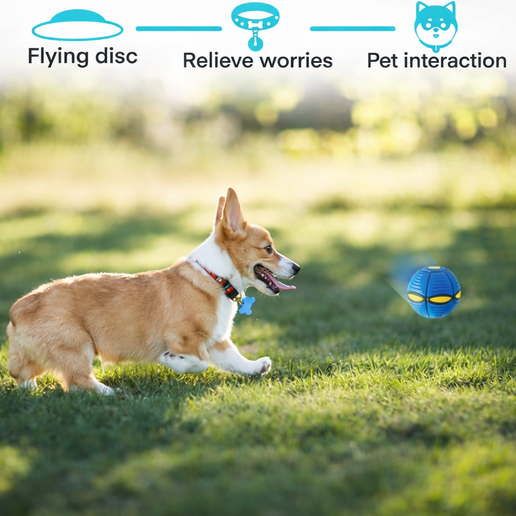 Interactive Flying Disc Dog Ball