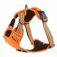 Pet Harness Vest