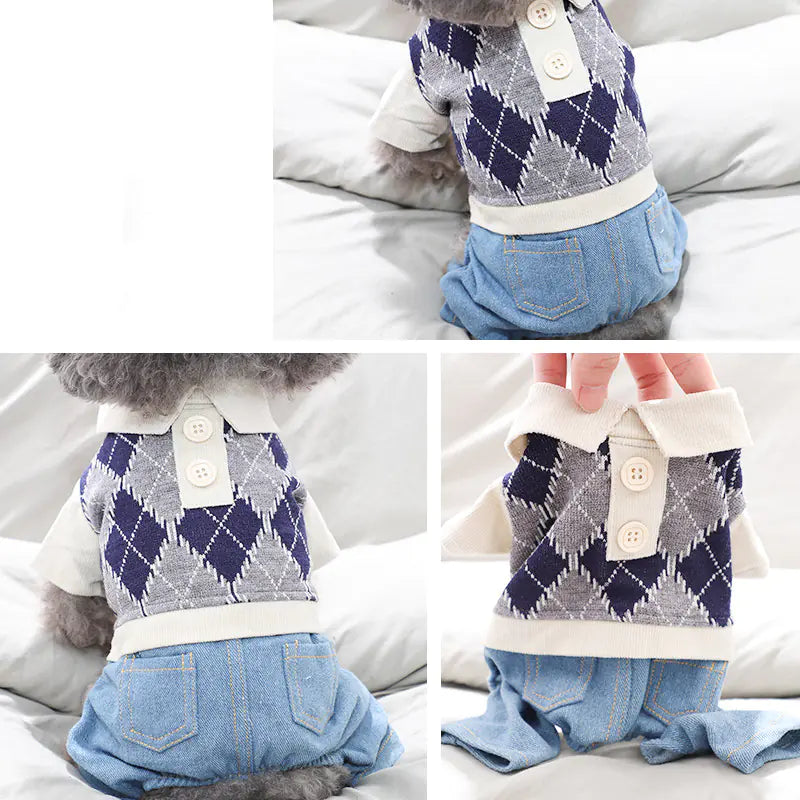 Winter Clothes for Dogs - Four-Legged Apparel