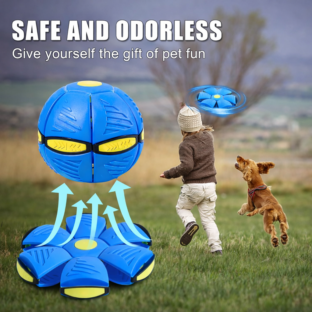 Interactive Flying Disc Dog Ball