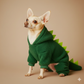 Cozy Dinosaur Winter Apparel