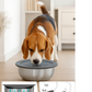 Spill-Proof Stainless Steel Water Bowl