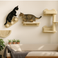 Cat Wall Shelves with Hammock, Scratching & Jumping Platforms