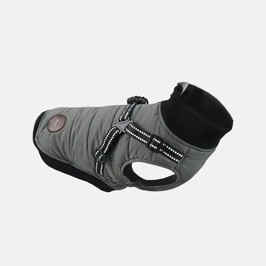 Warm Cotton-Padded Dog Clothes for Autumn and Winter