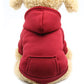 Winter Dog Hoodie