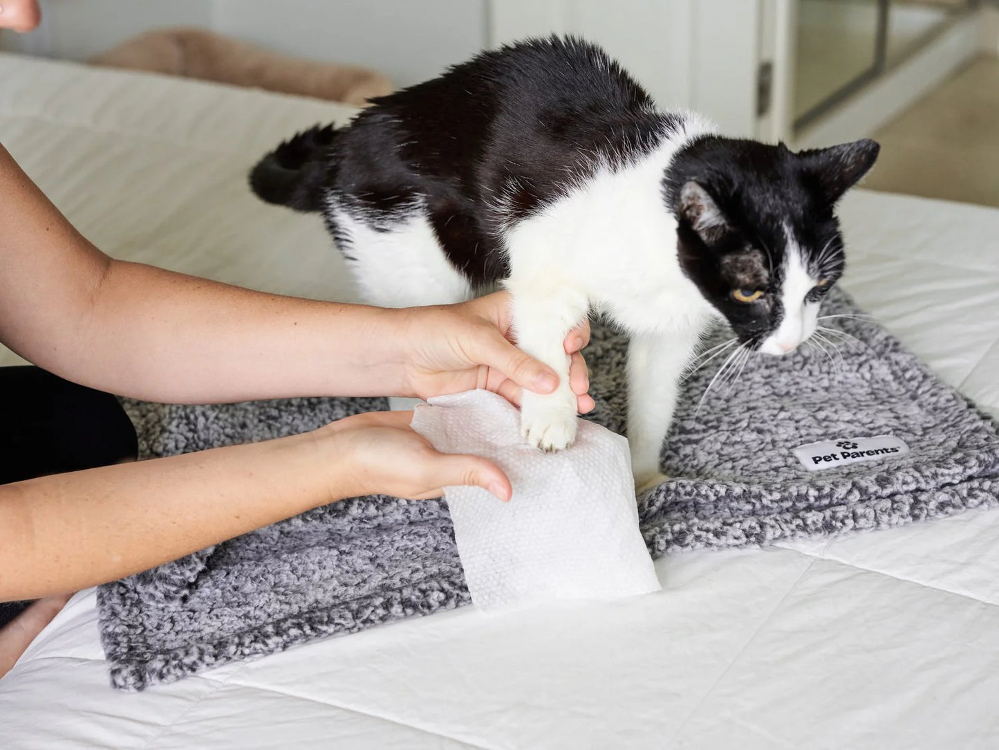 Pet WiPees Cat All Purpose + Skin & Coat
