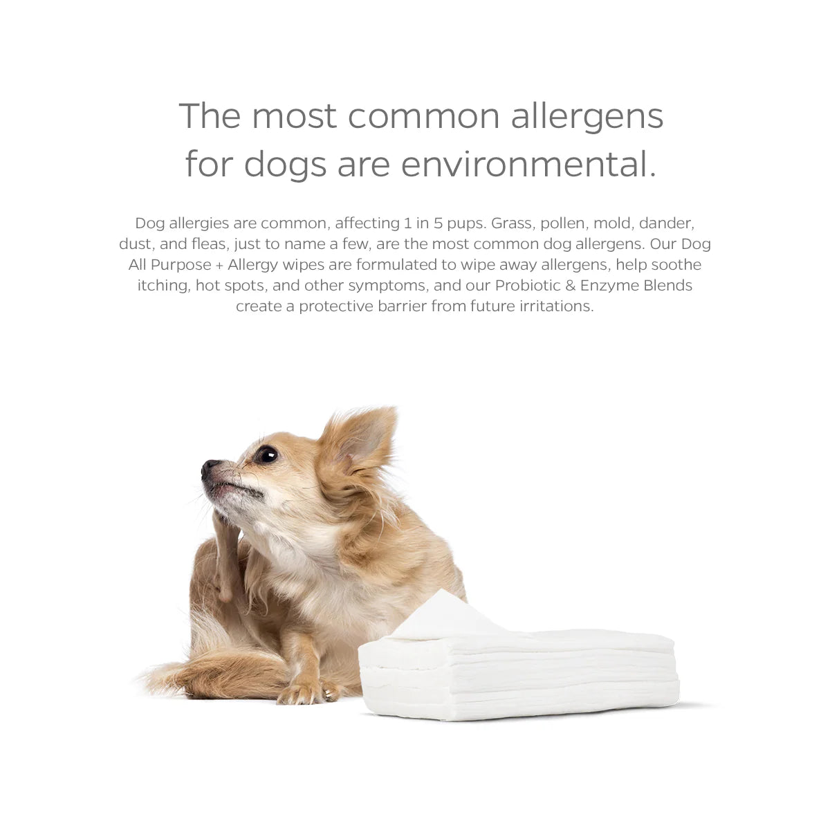Pet WiPees Dog Allergy Natural Wipes