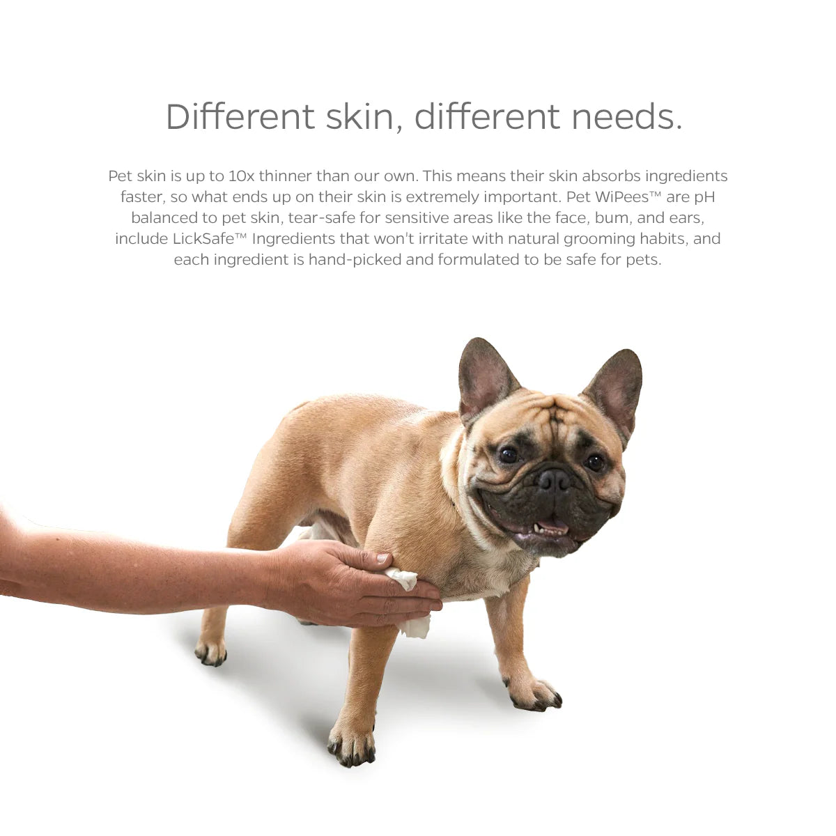 Pet WiPees Dog Allergy Natural Wipes