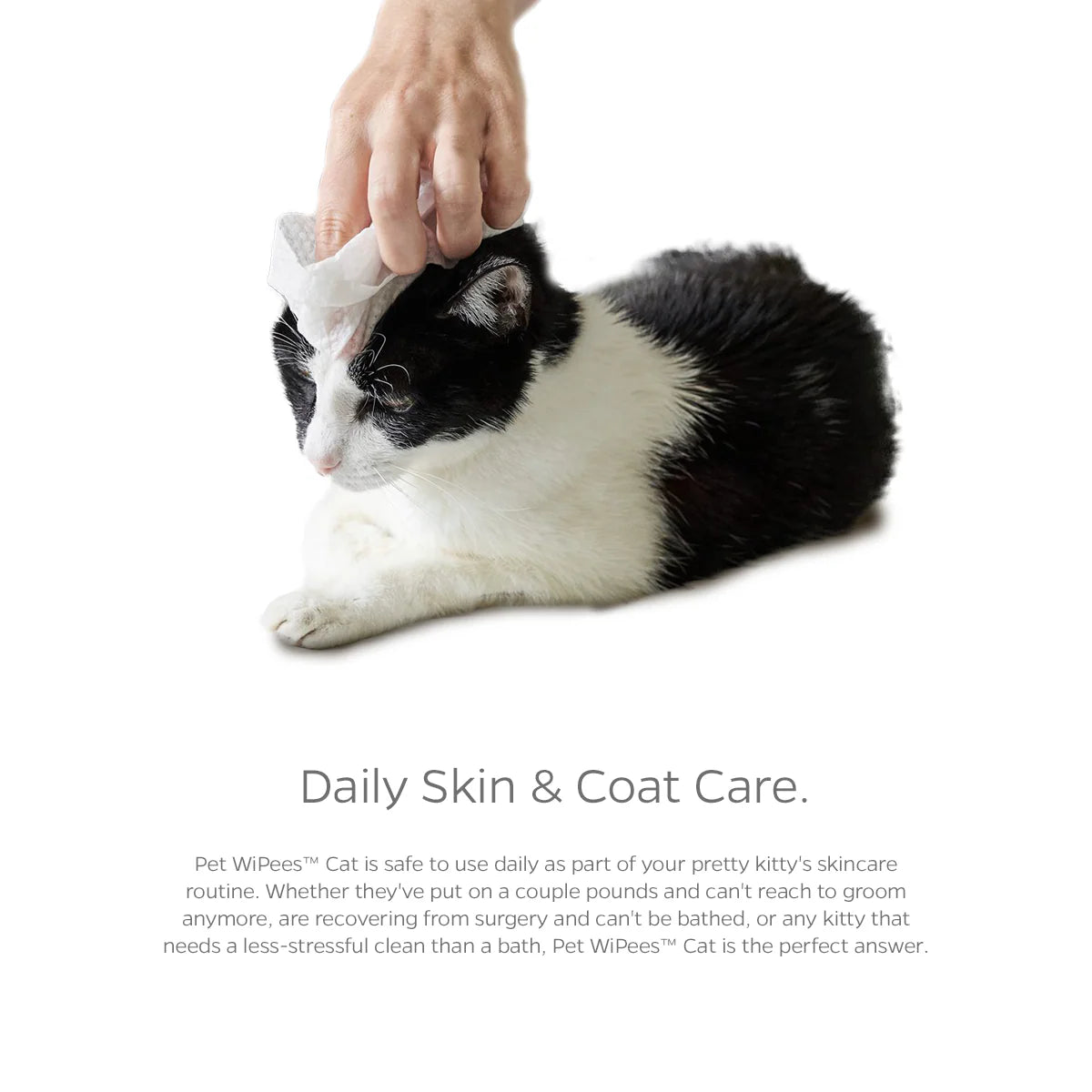 Pet WiPees Cat All Purpose + Skin & Coat
