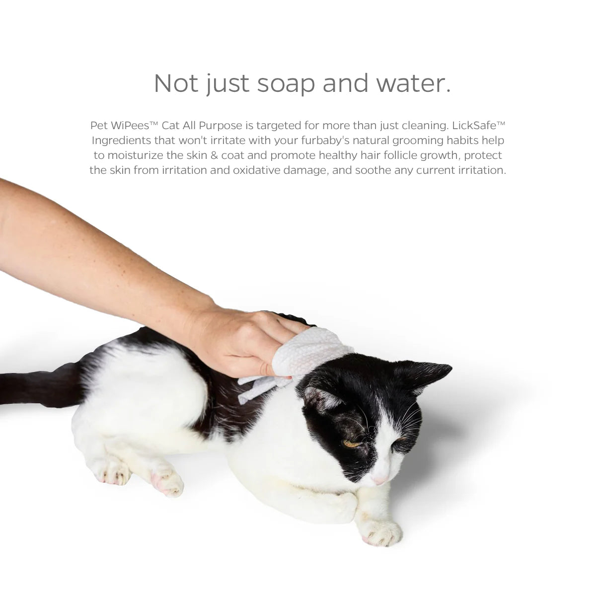 Pet WiPees Cat All Purpose + Skin & Coat