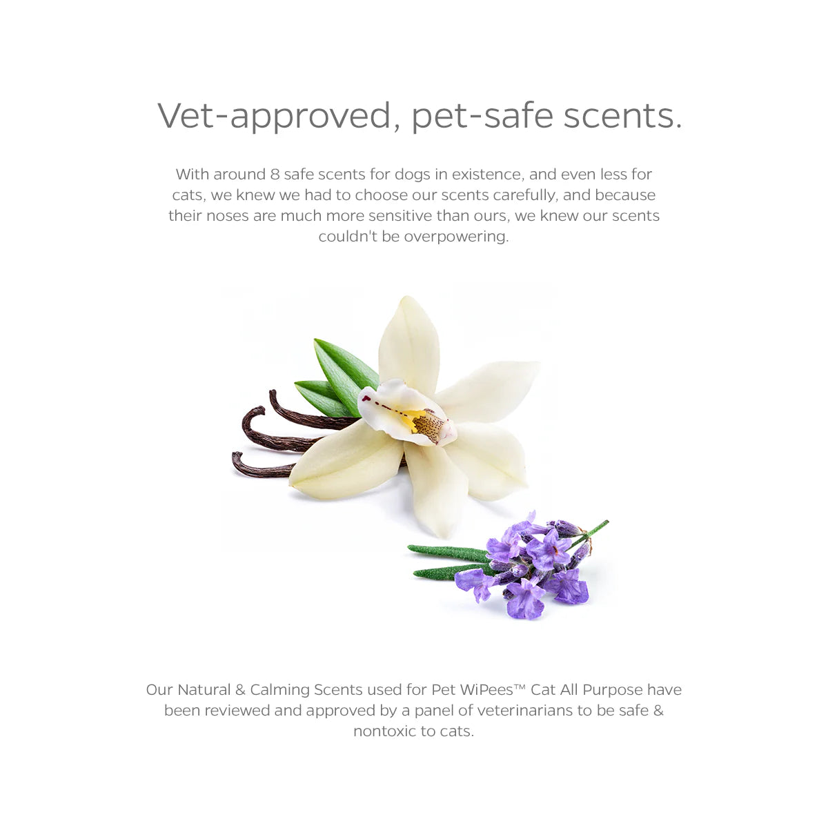 Pet WiPees Cat All Purpose + Skin & Coat
