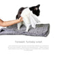 Pet WiPees Cat All Purpose + Skin & Coat