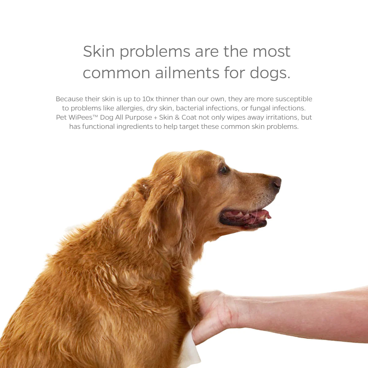 Pet WiPees Dog All Purpose + Skin & Coat