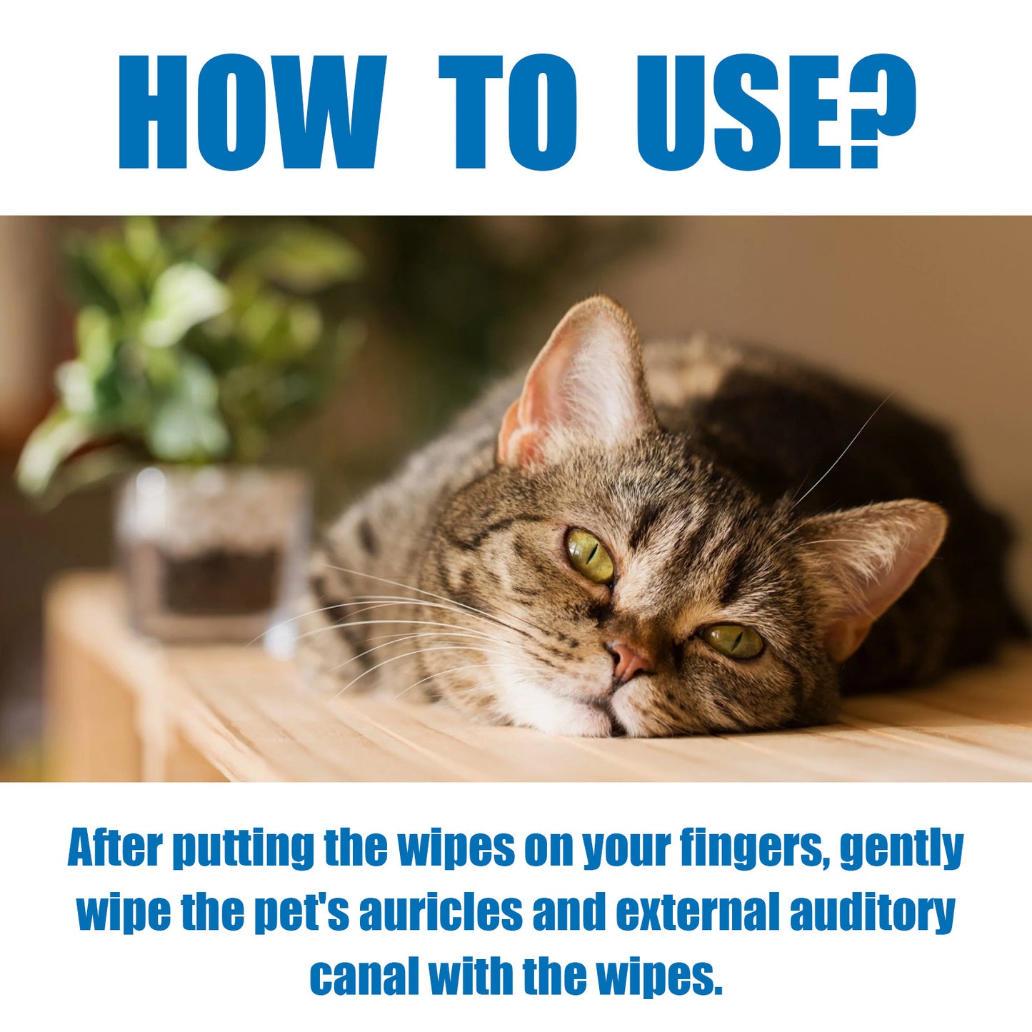 Yegbong™ Ear Cleaning Finger Wipes for Dogs & Cats