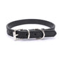 Collar Dog Chain