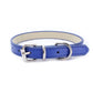 Collar Dog Chain