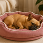 Memory Foam cozy Pet Orthopaedic Comfort sofa