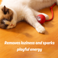 Interactive Self-Rolling Cat Toy