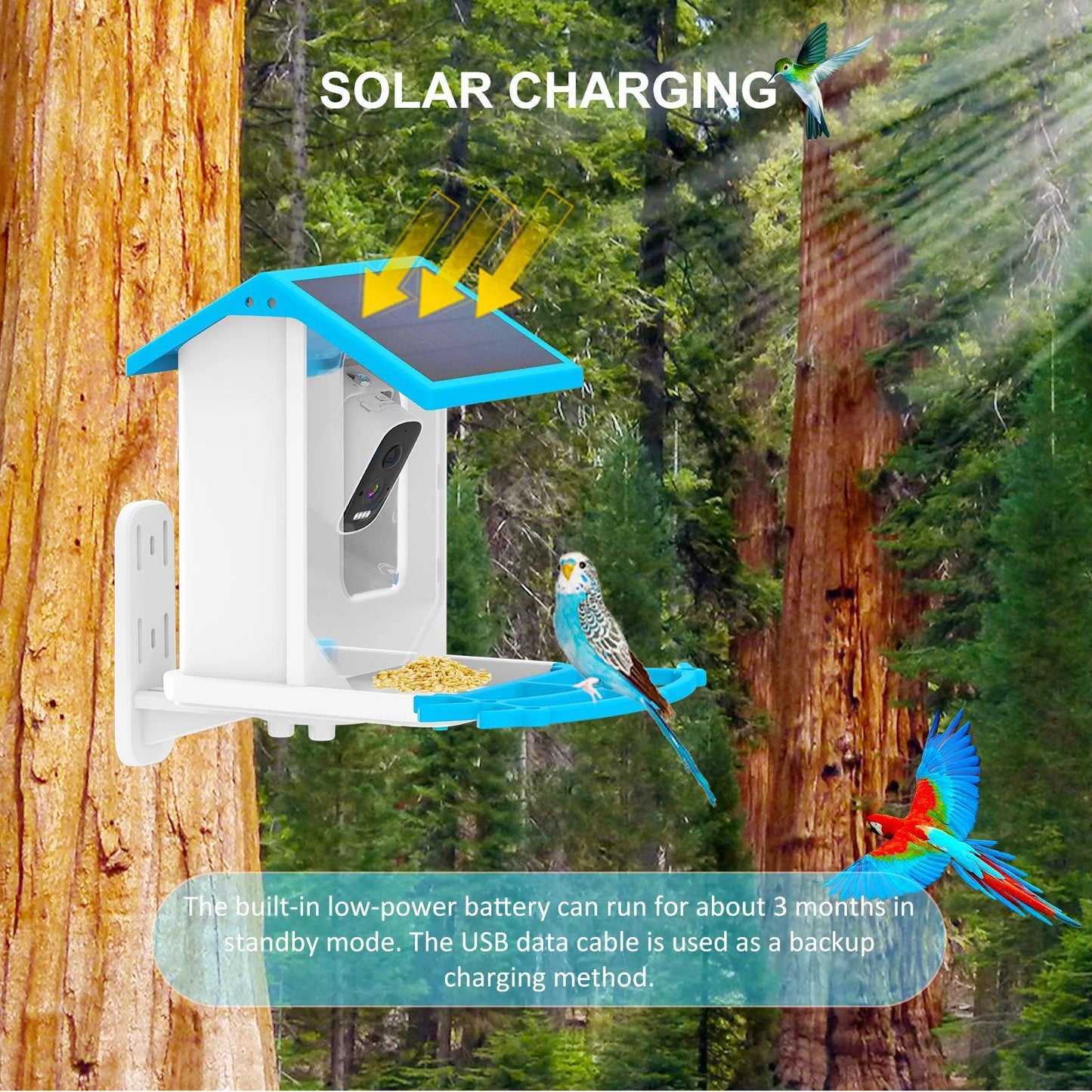 Smart Bird Feeder With Ultra HD Camera