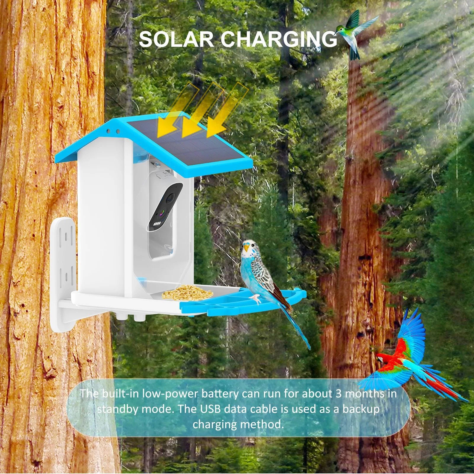 Smart Bird Feeder With Ultra HD Camera