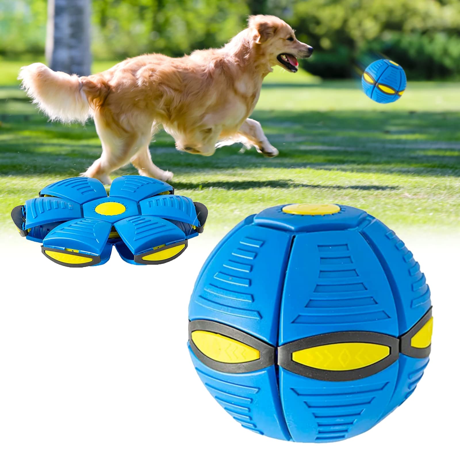 Interactive Flying Disc Dog Ball